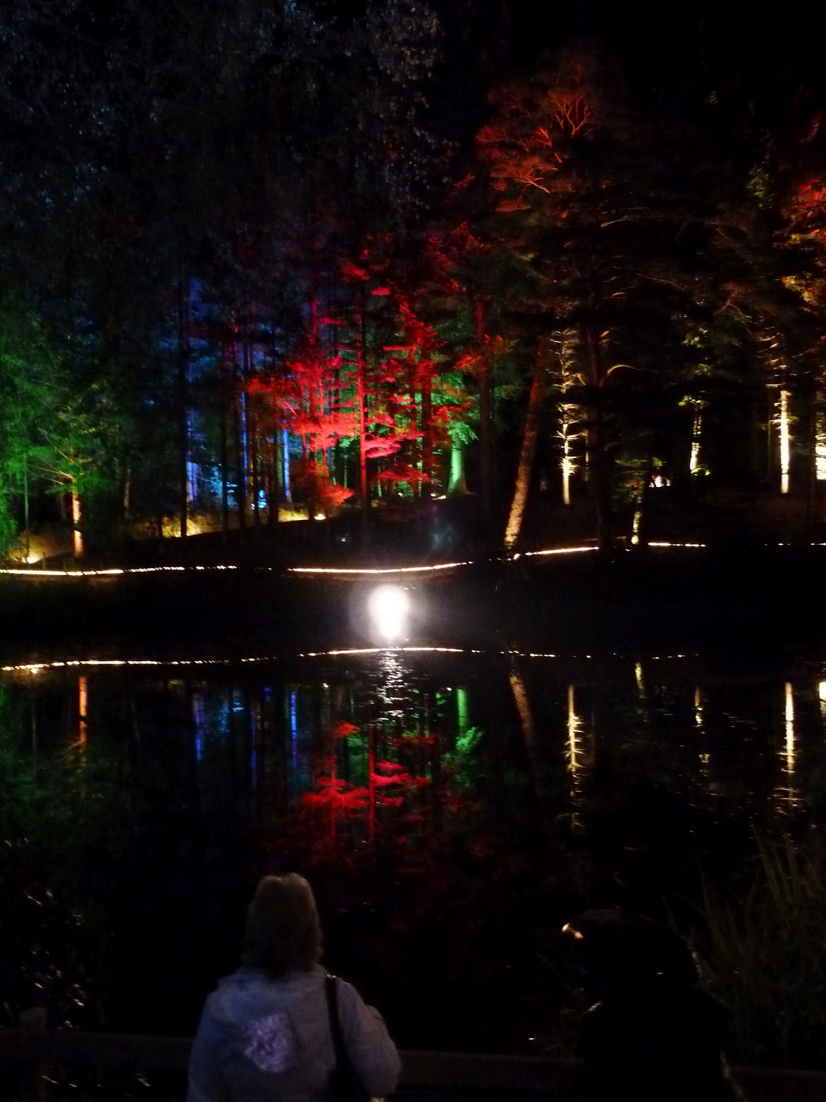 Enchanted Forest, Faskally, Pitlochry
