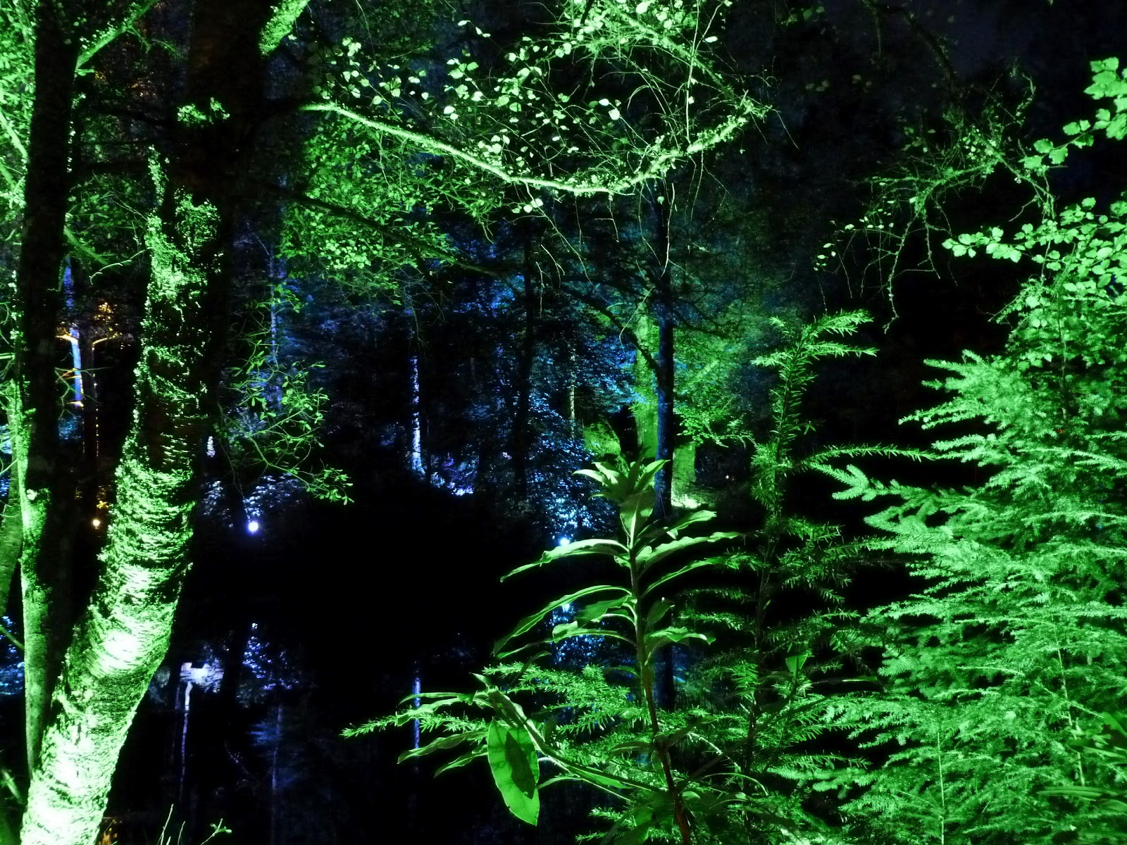 Enchanted Forest, Fiskally