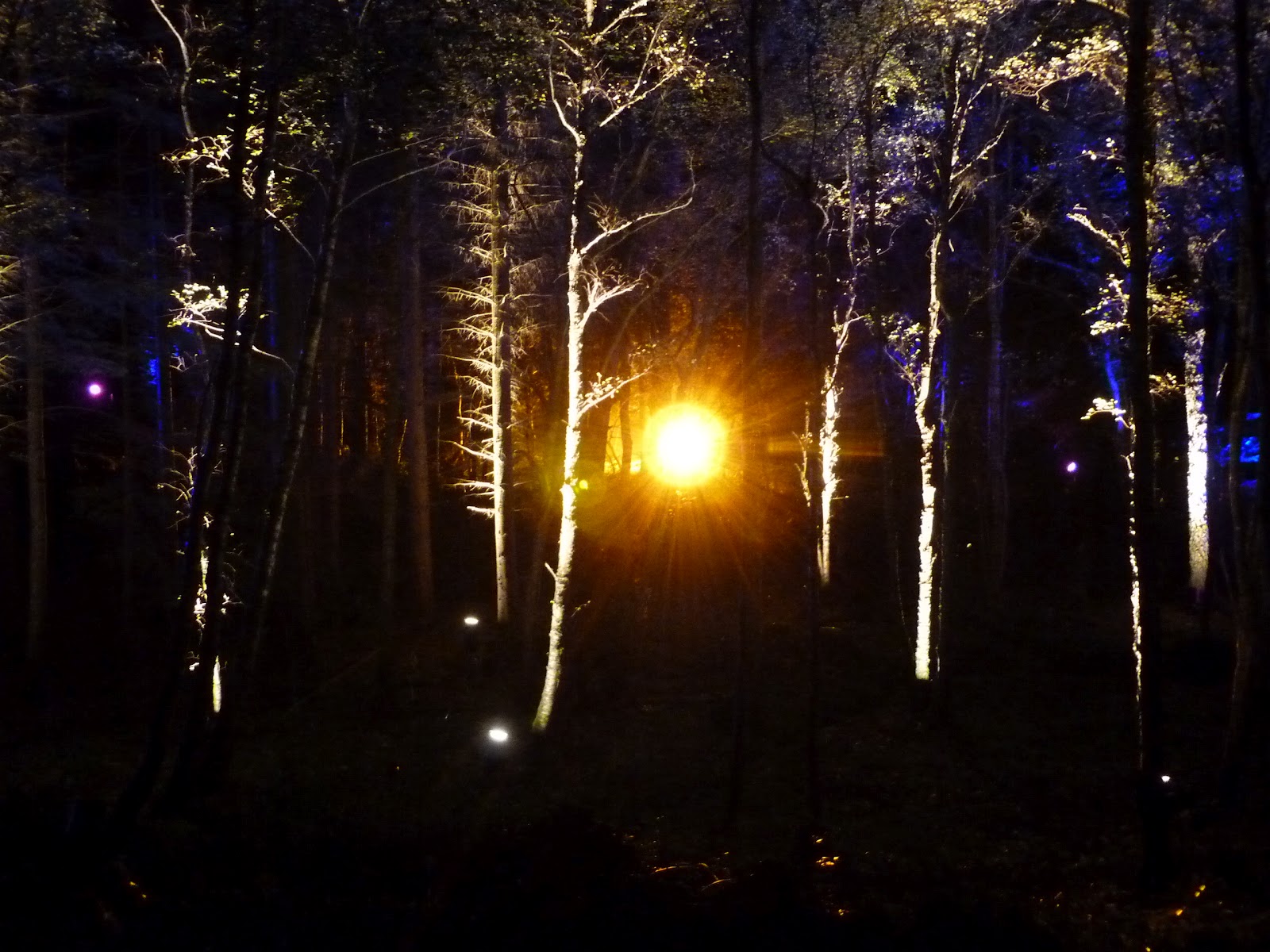 Enchanted Forest, Faskally, Pitlochry
