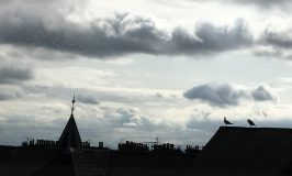 Flying the nest – and some things don’t change