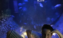 Things I learned from an all-inclusive holiday