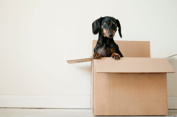 How Self Storage Can Help You Sell Up and Move House
