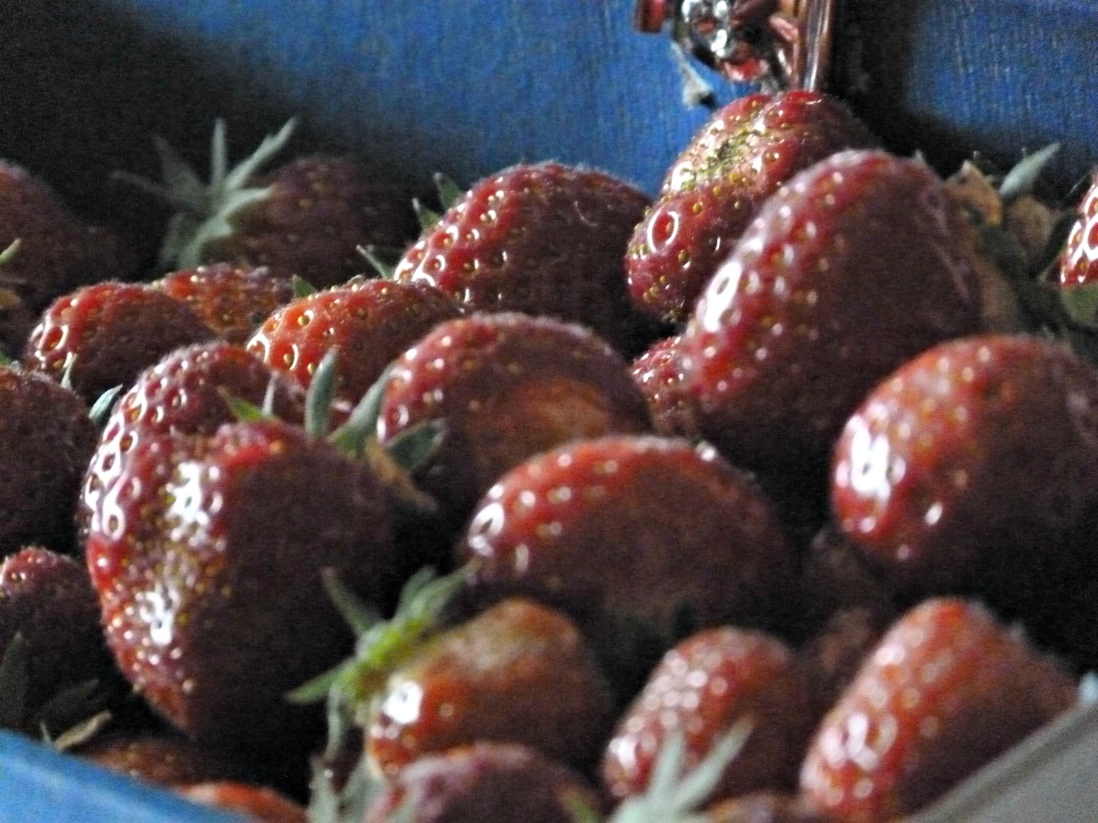 Strawberries - Scottish, tasty and healthy.