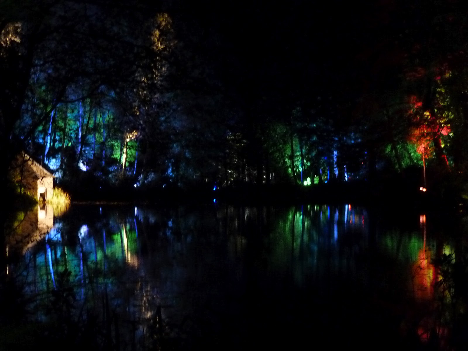 Enchanted Forest, Faskally, Pitlochry