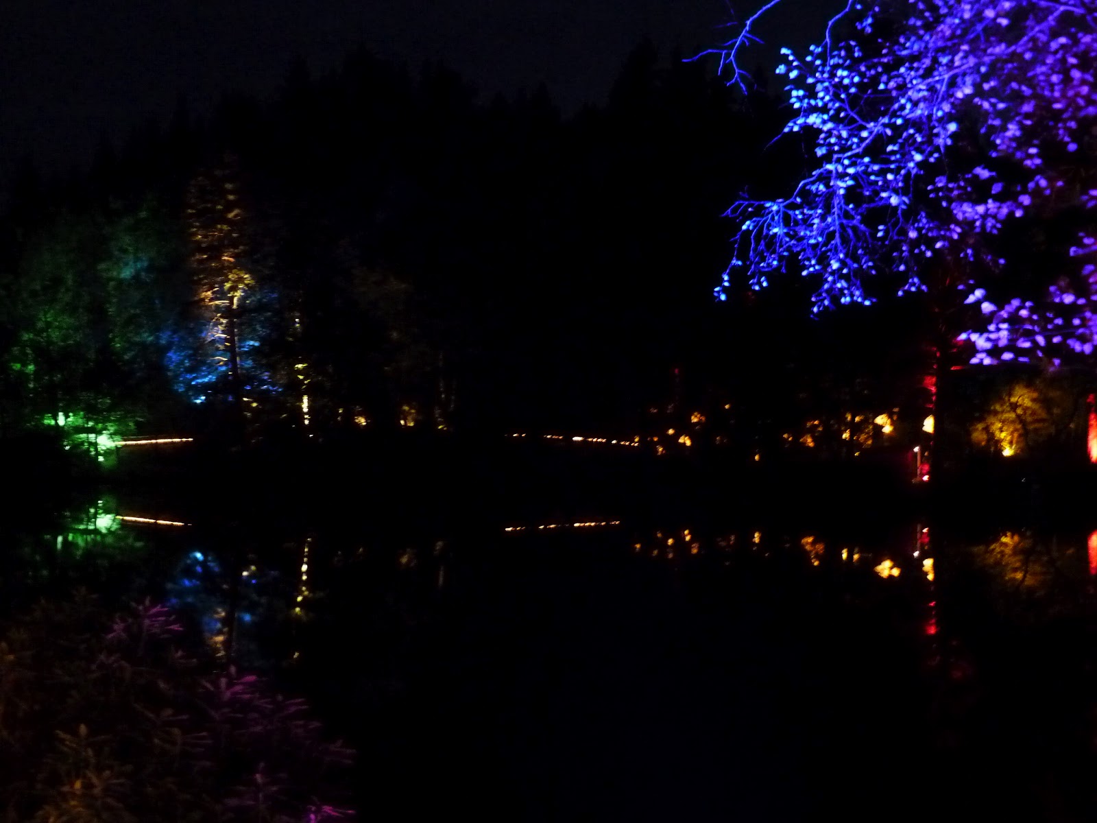 Enchanted Forest, Faskally, Pitlochry