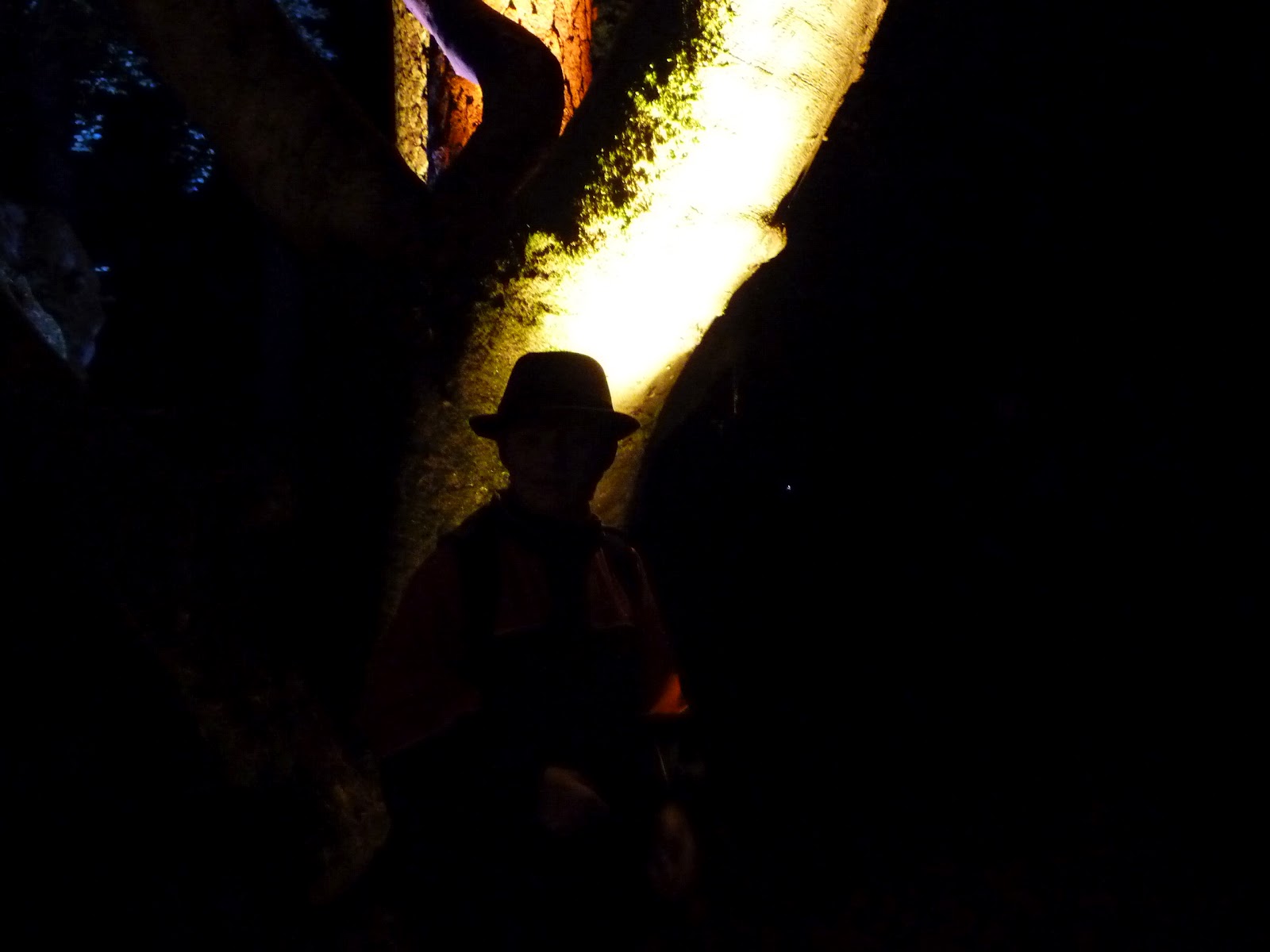 Enchanted Forest, Faskally, Pitlochry